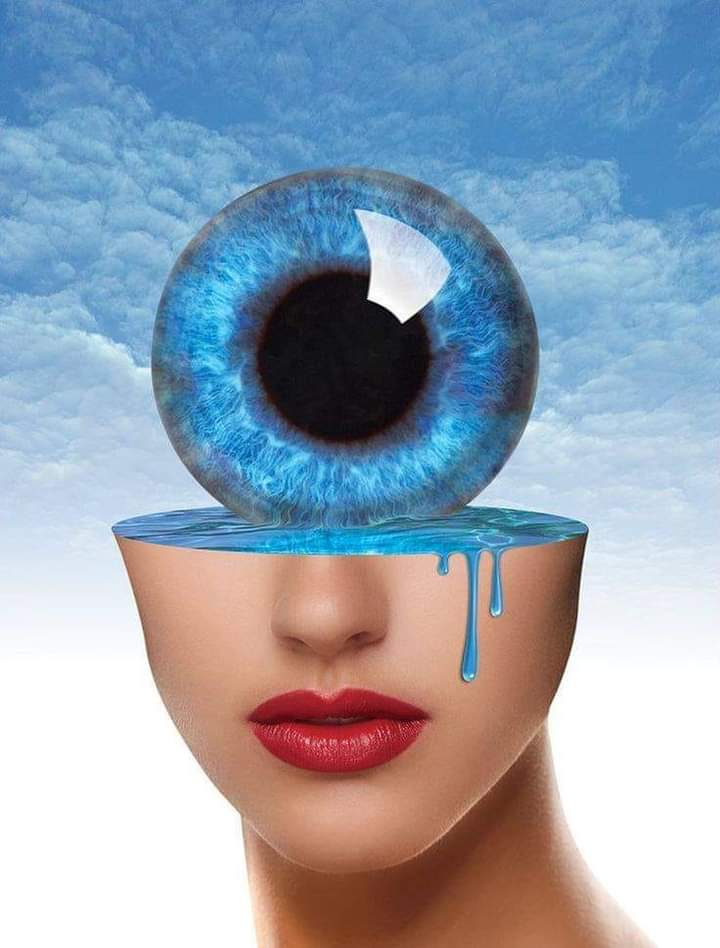 El ojo regalón  image