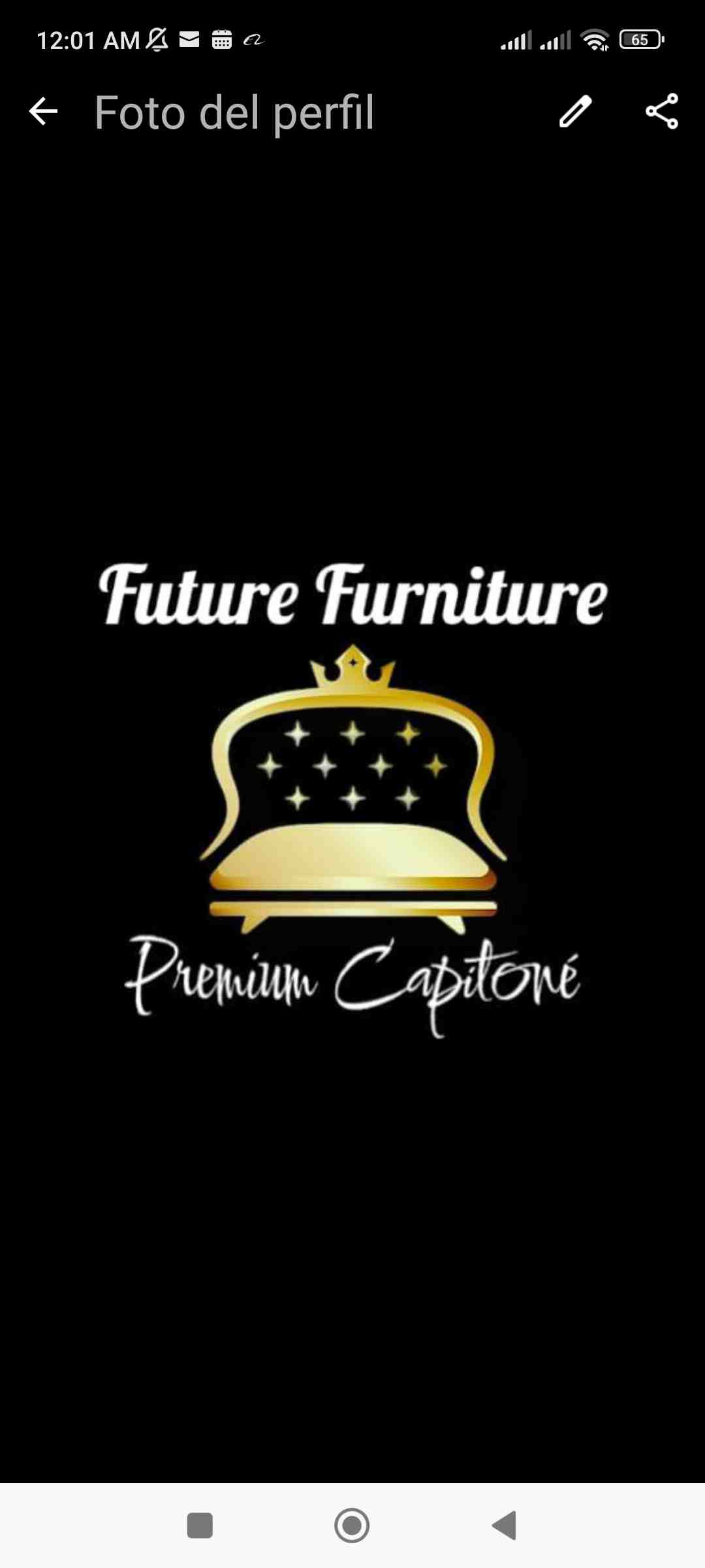 FutureFurnitucr image